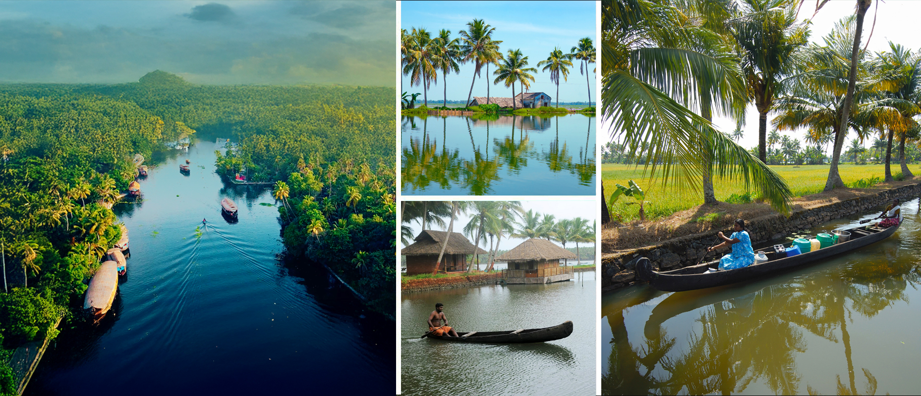 Backwater Bliss