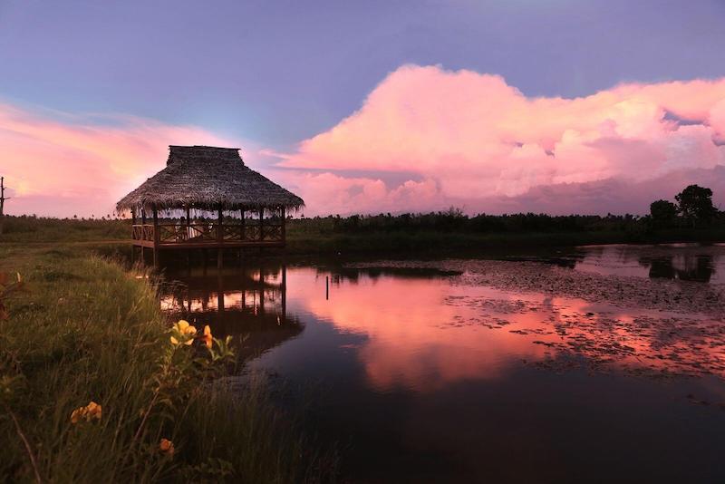 Coconut Lagoon, Kumarakom, South India