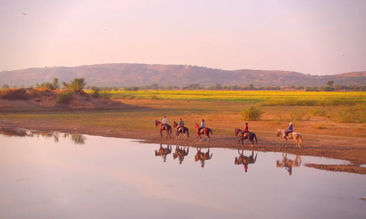 Decoding India’s Luxurious Landscape