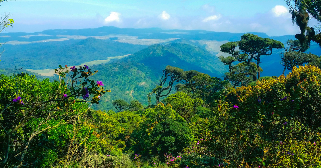 Horton Plains National Parks