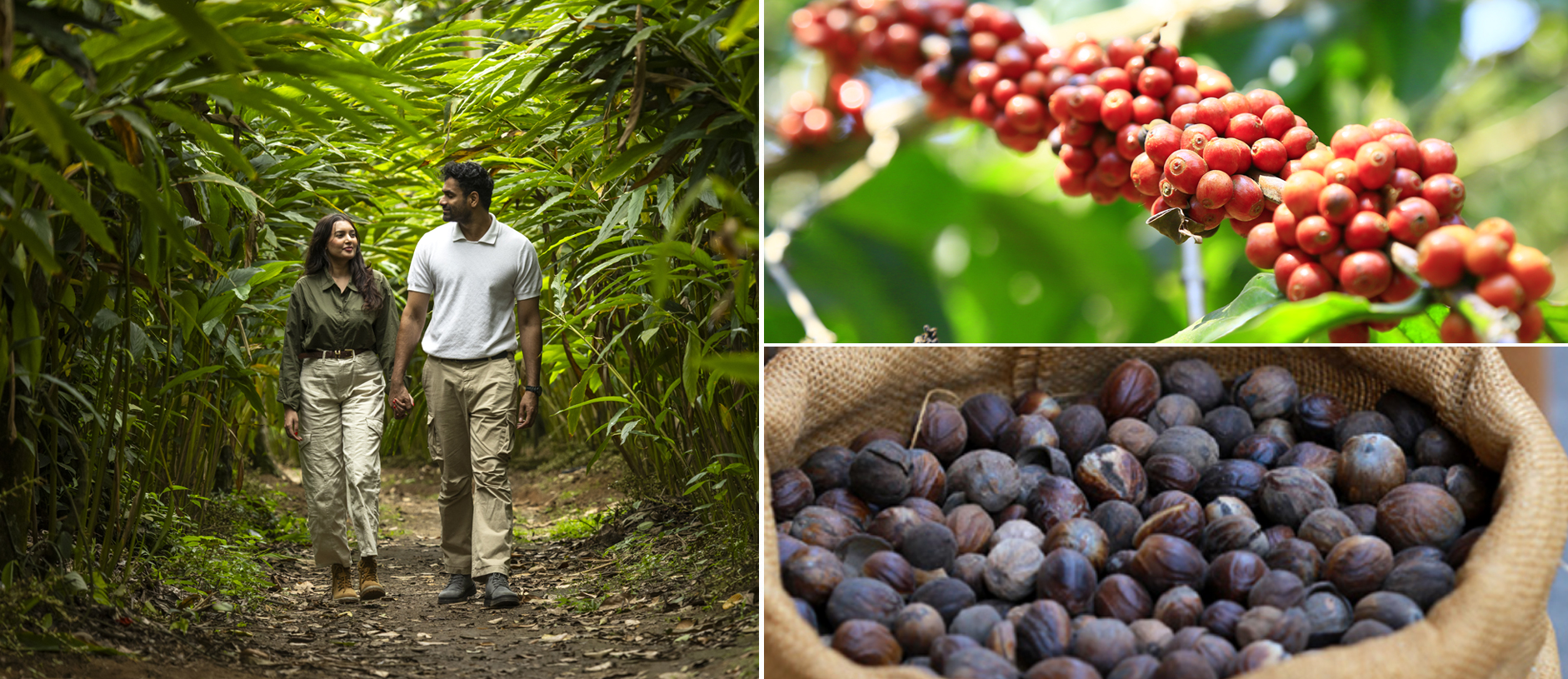 Storied Spice Routes