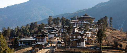 Thimphu - Gangtey (4 hrs drive)