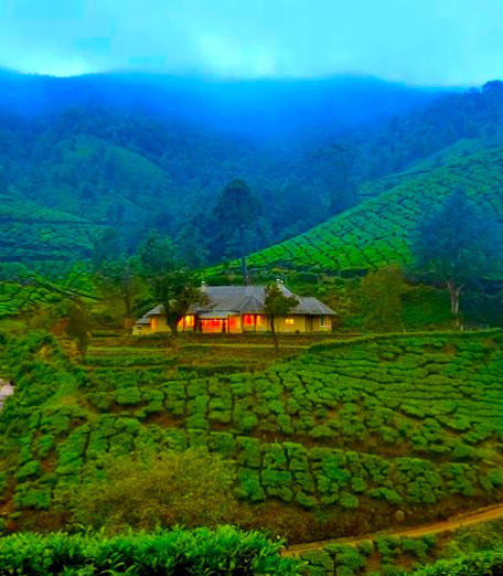 Kochi - Munnar