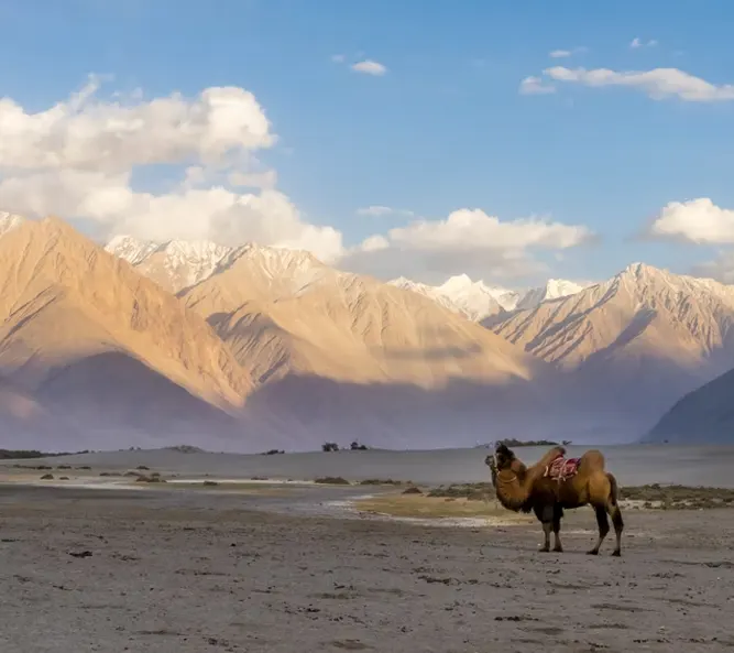 Leh - Nubra