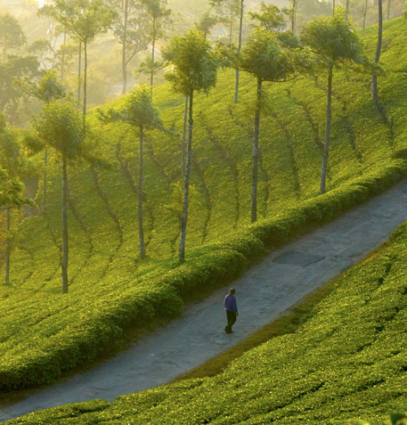 Munnar