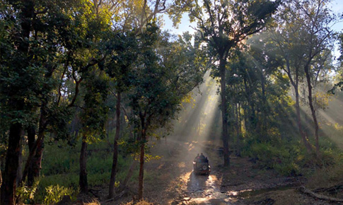 Kanha National Park