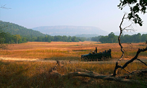 Kanha - Bandhavgarh National Park