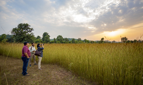 Bandhavgarh National Park