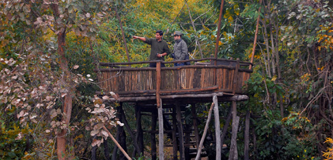 Bandhavgarh