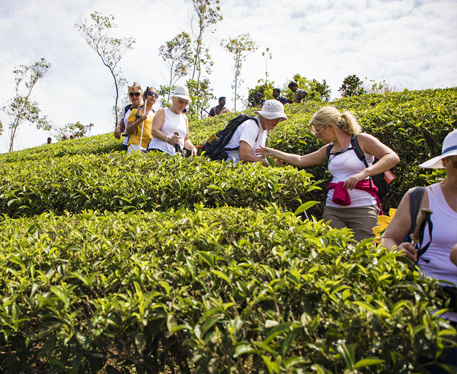 Munnar