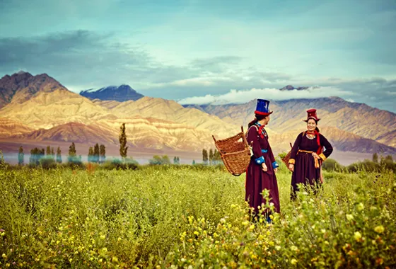 Ladakh - A Land Like No Other