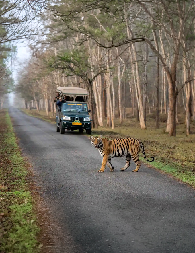 Kabini