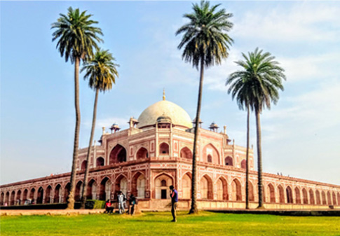 Arrive Delhi