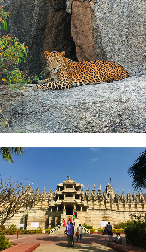 Jodhpur - Jawai (3 hrs drive)