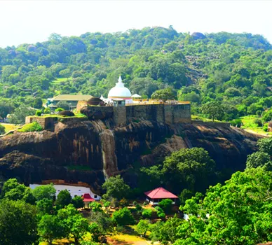Uncover Sri Lanka's Natural Beauty